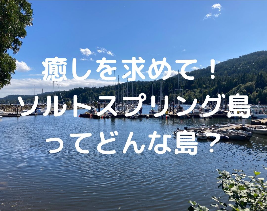 カナダ ソルトスプリング島 ヒッピーの島 スピリチュアルの島 って聞くけどどんな島 カナダで保育士奮闘中ー30代からの海外留学奮闘ブログー